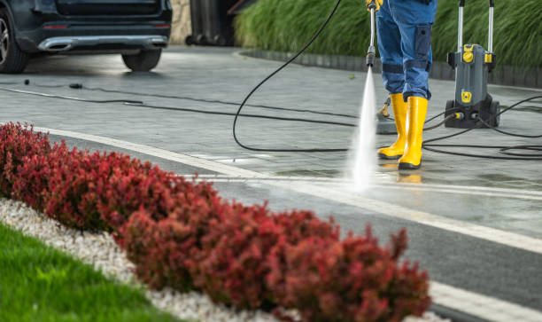 Best Gutter Cleaning  in White Pigeon, MI